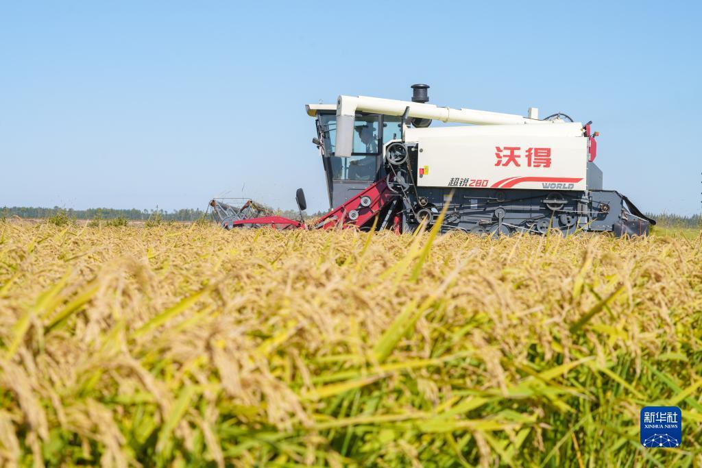 在线葡京注册